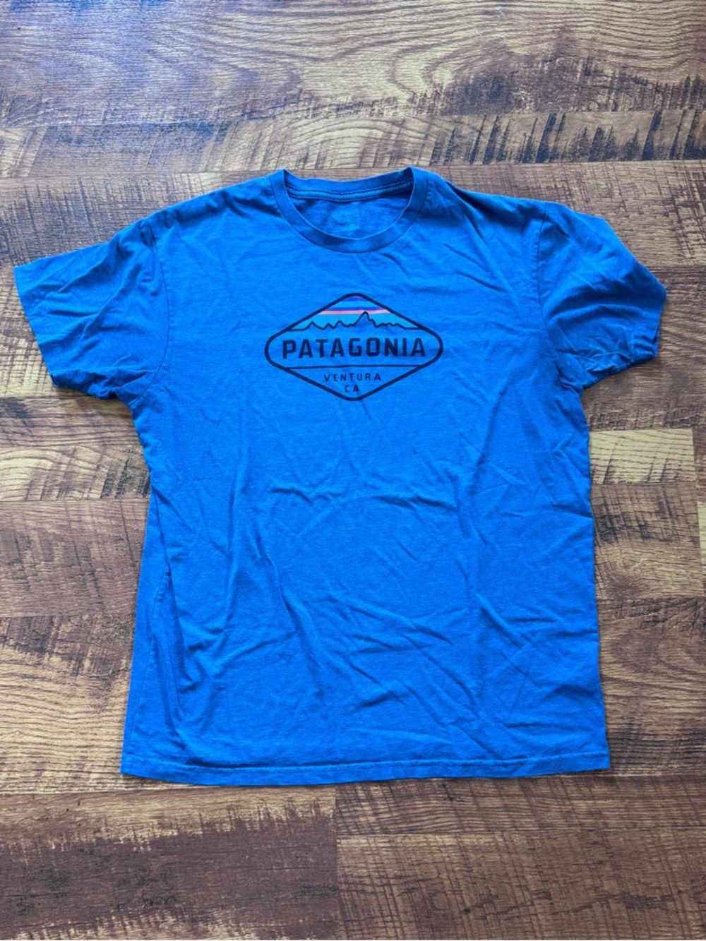 Patagonia Men's Royal Blue Graphic Logo Crew Tee